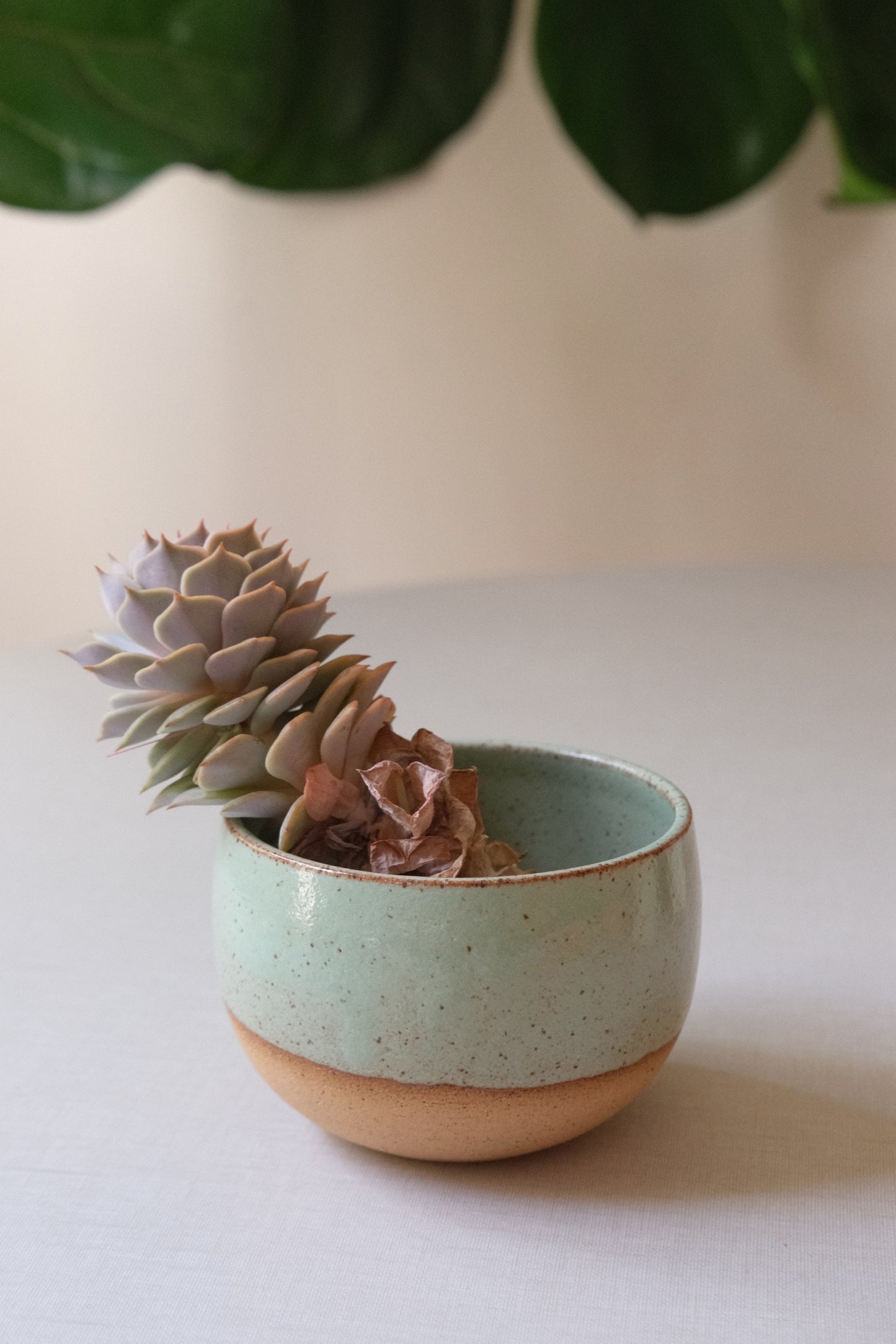 Small Pistachio Planter