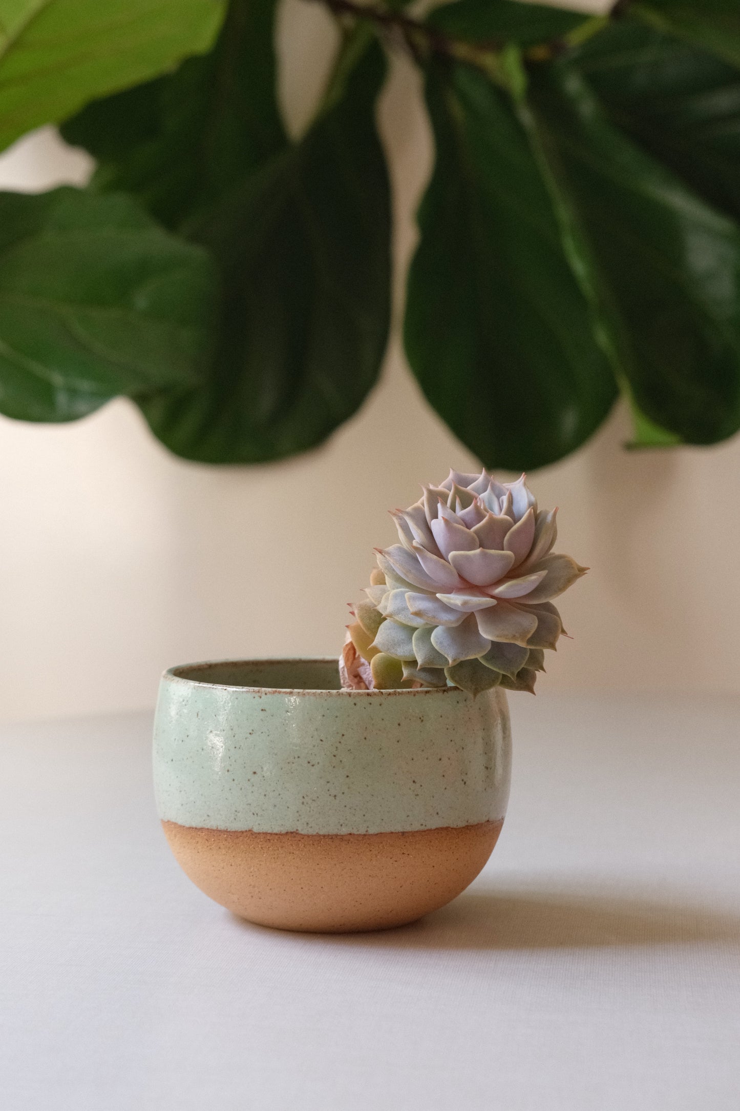 Small Pistachio Planter