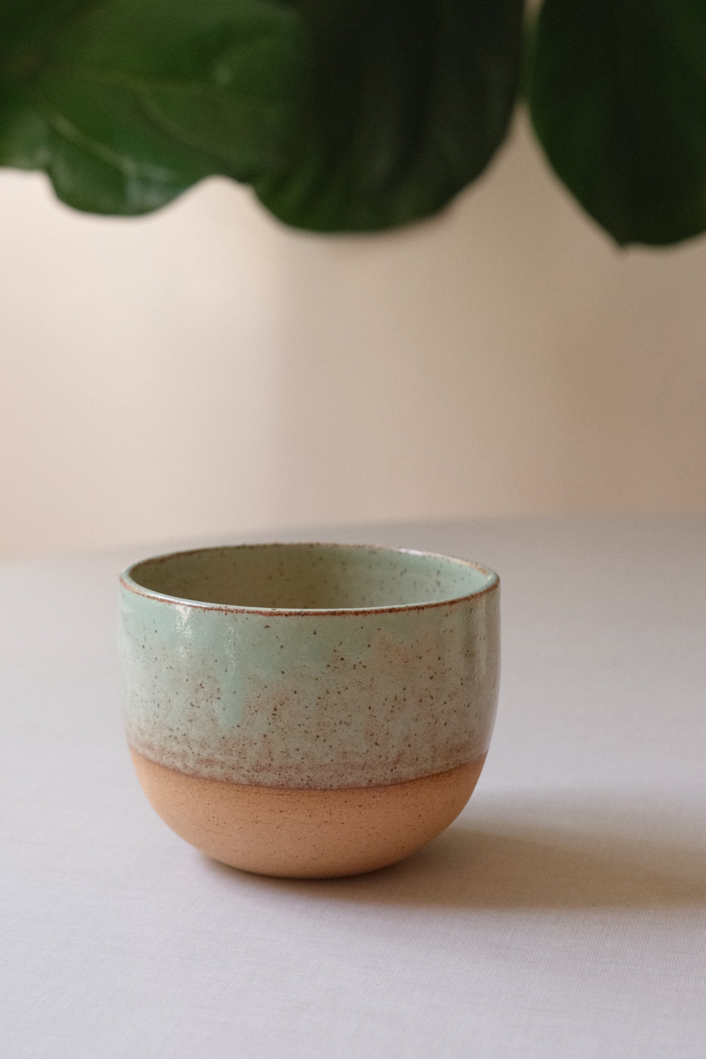 Small Pistachio Planter