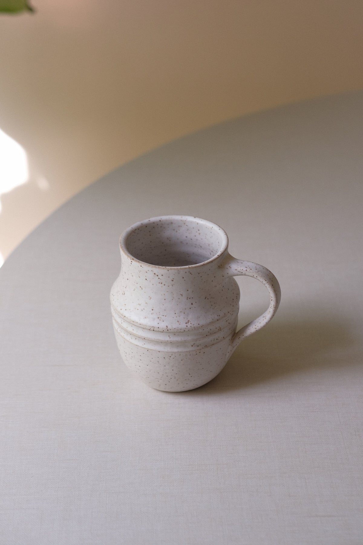 Matte White Speckle Mug